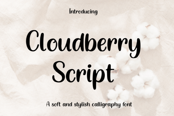 Cloudberry Script: A Modern Typeface for Warm, Feminine Branding