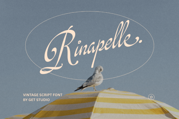 Rinapelle Script Review: A Designer’s Take