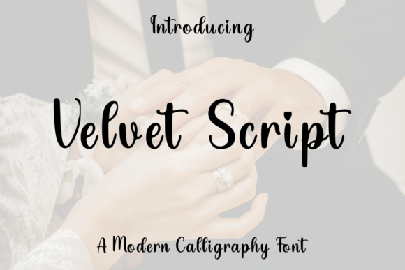 Velvet Script: A Designer’s Take on Romantic Brand Identity